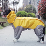 Dog Raincoat For Small and Big Dogs